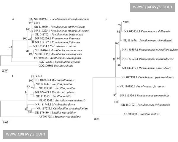基于耐力评估表的全面分析与应用研究探索